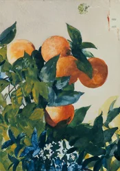 Appelsiinit oksalla, 1885