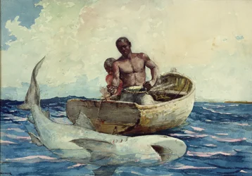 Hain kalastus, 1885