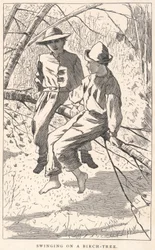 Keinuminen koivulla, nuortenlehti, kesäkuu 1867.