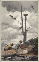 Kotkanpesä, 1902