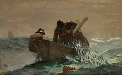 Silliverkko, 1885.