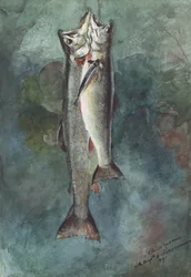 Two Trout, 1891 (wc paperilla)