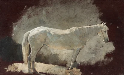 Valkoinen tamma, n. 1868.