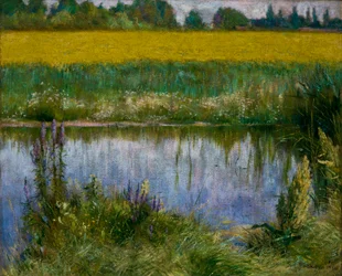 Campo de Lupinfinlandesa