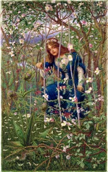 Briar Wood