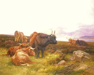 Ylämaalaisia järven rannalla