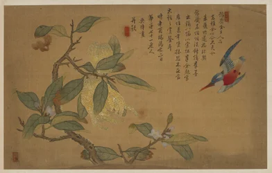 Lintu, hedelmät ja kukat, Qing-dynastia, 1741.