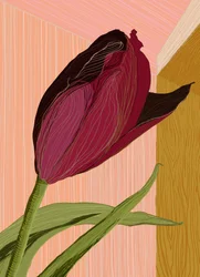 Crimson Tulip -nurkkaus