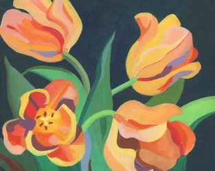 Kirkkaan oranssit tulppaanit