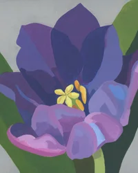 Eläväinen violetti kukka
