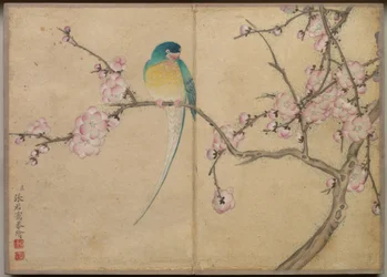 Pöytäalbumi: Bird with Plum Blossoms).