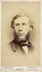 John Tyndall, irlantilainen fyysikko, c 1875