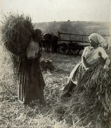 Harvesterit, noin 1900