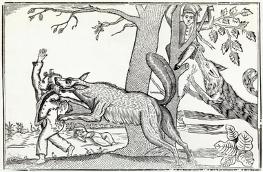 Susi noin 1820 (kaiverrus)