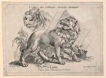 Studies of Lions, levy 4, "Cahier des Desseins Diverse Animalaux"