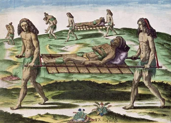 Hermafrodiitit kuljettavat loukkaantuneita, teoksesta "Brevis Narratio...", julkaissut Theodore de Bry, 1591.