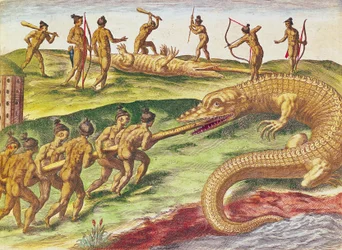 Metsästyskrokotiileja, "Brevis Narratiosta...", julkaisija Theodore de Bry, 1591, (värikaiverrus)