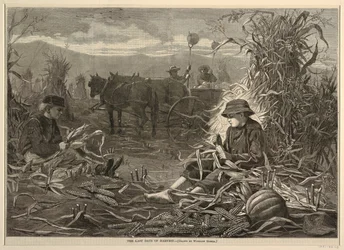 The Last Days of Harvest, Harper