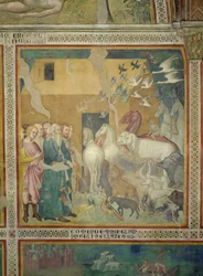 Nooa johdattaa eläimiä arkkiin, 1356-67 (katso myös 59303)