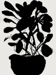 Minimalistinen ruukkukasvi