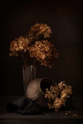 Tummanvärinen hydrangea-asetelma