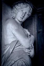 Biblioteca Marciana, Venetsia, Italia (kuva)