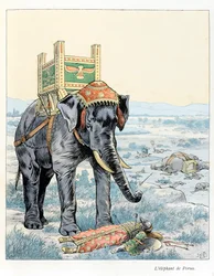 Kuvitus kirjasta "Pettojen kunniassa" teksti, kirjoittaja A Fabre, piirustukset Jacques Marie Gaston Onfray de Breville sanoo JOB (1858-1931), kustantaja Maison Alfred Mother and Son: The Elephant of Porus (At the Battle of Porus) Hydaspe). Vuonna 328 eKr.